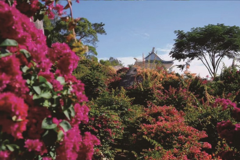 1764661227500751.jpg 03-4.jpg