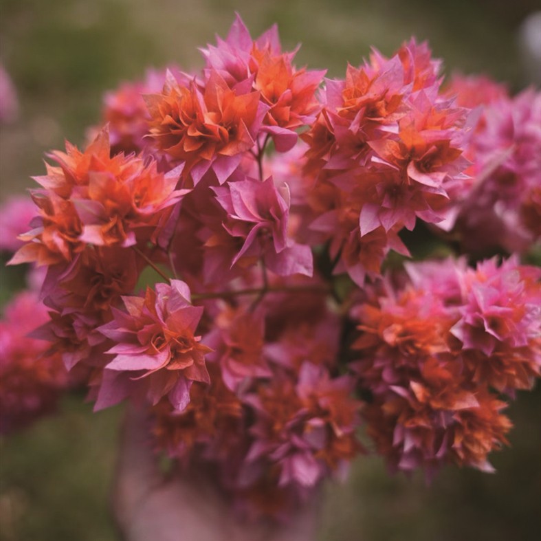 1764661276866883.jpg 03-5.jpg