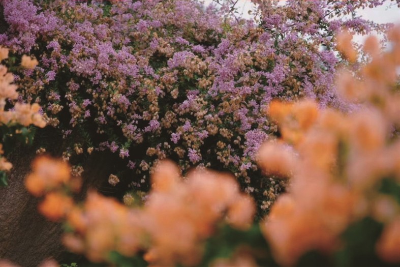 1764661296703540.jpg 03-7.jpg