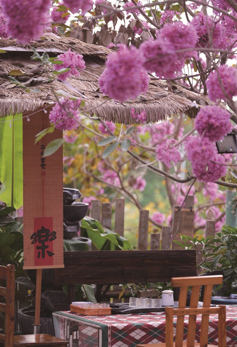 1767063392589345.jpg 03-8.jpg